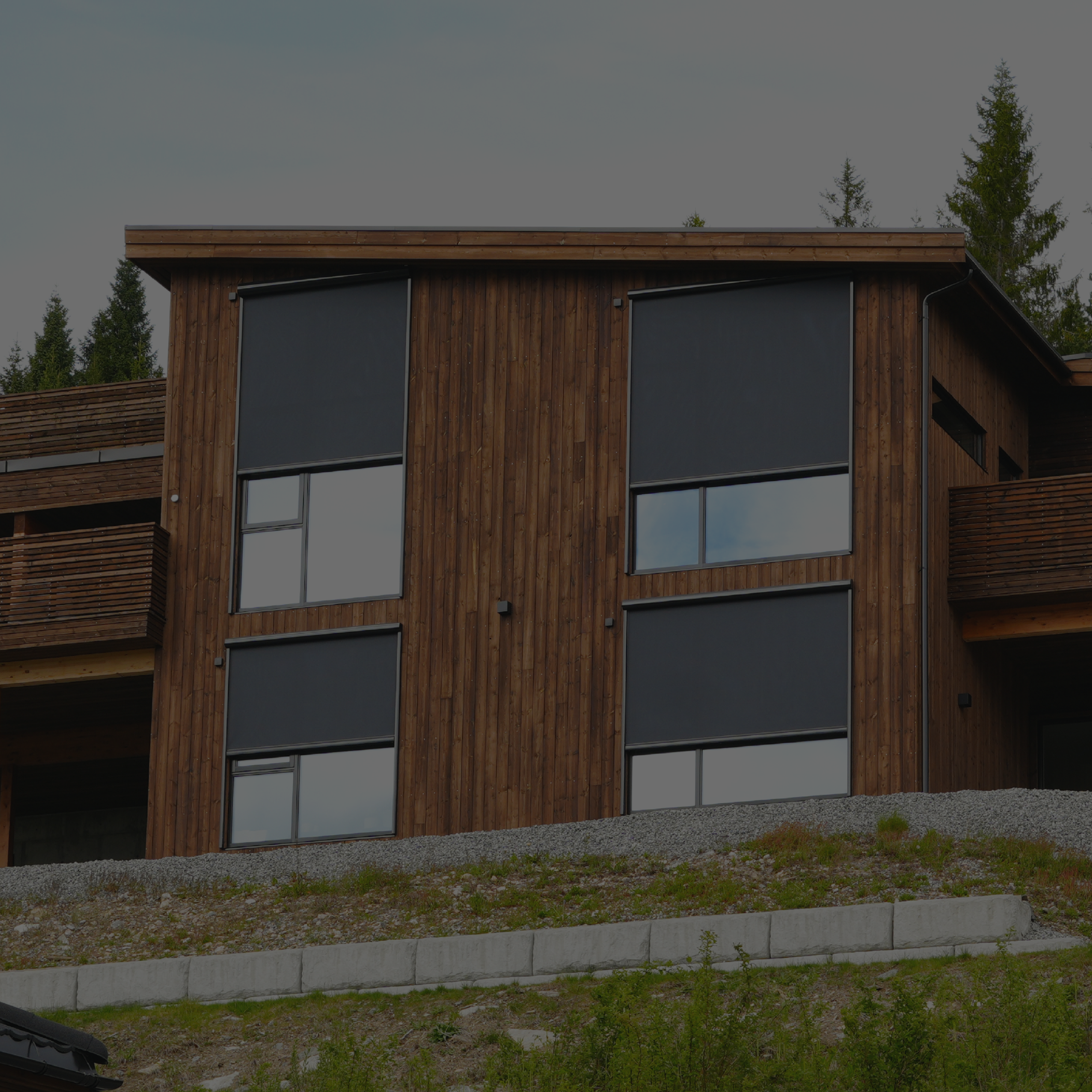 Web Product Bg Screens 1500X1500 August W