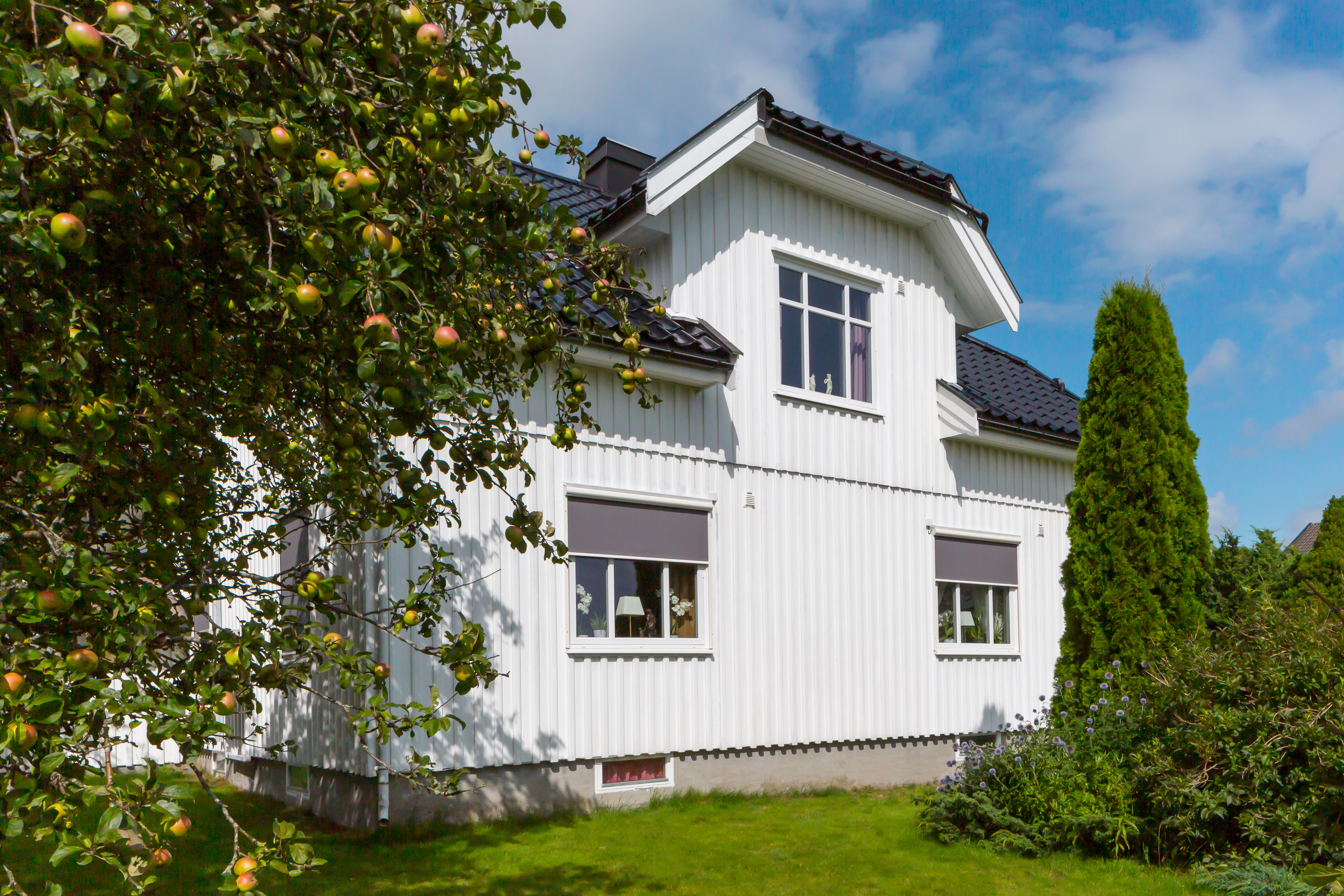 HUNTER DOUGLAS NORGE 1.2(NORKS FLAG) 2019